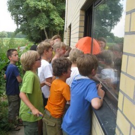 IMG 0098  Medium - Scouts en Gidsen Zaventem 